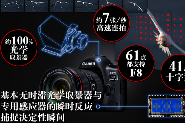 單反租賃管理系統：簡化單反租用流程