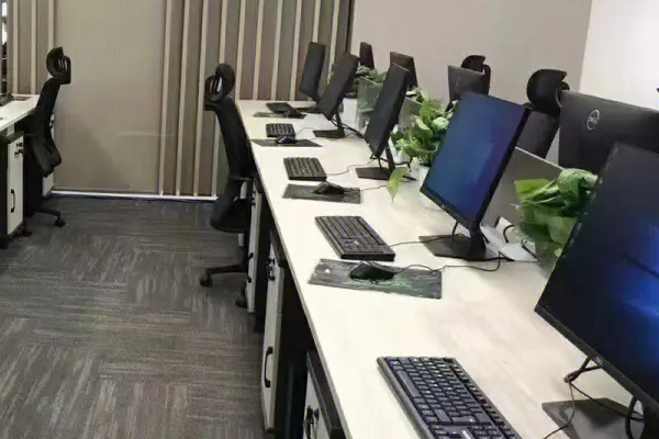 租賃軟件：用最低的成本體驗最高的品質