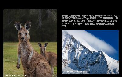 實用設備租賃管理軟件選擇哪一家